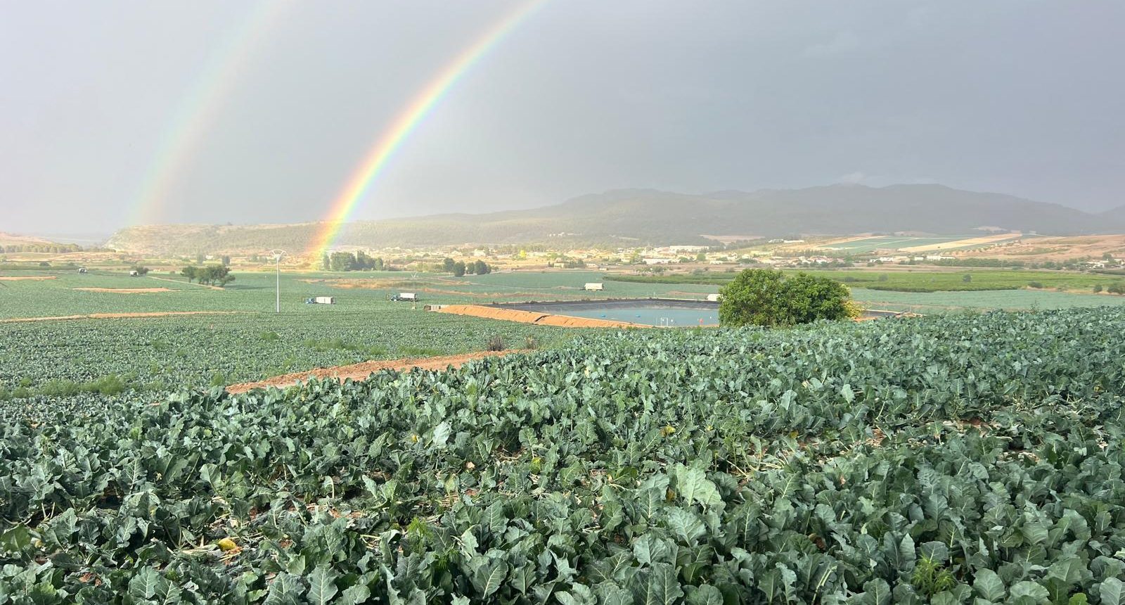 Finca cultivo hortalizas