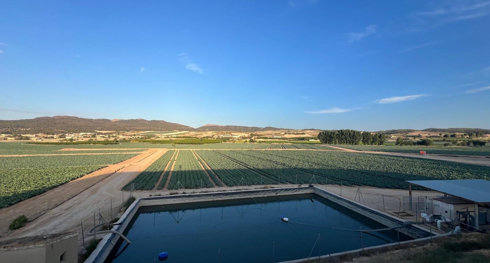 Finca cultivo hortalizas y balsa
