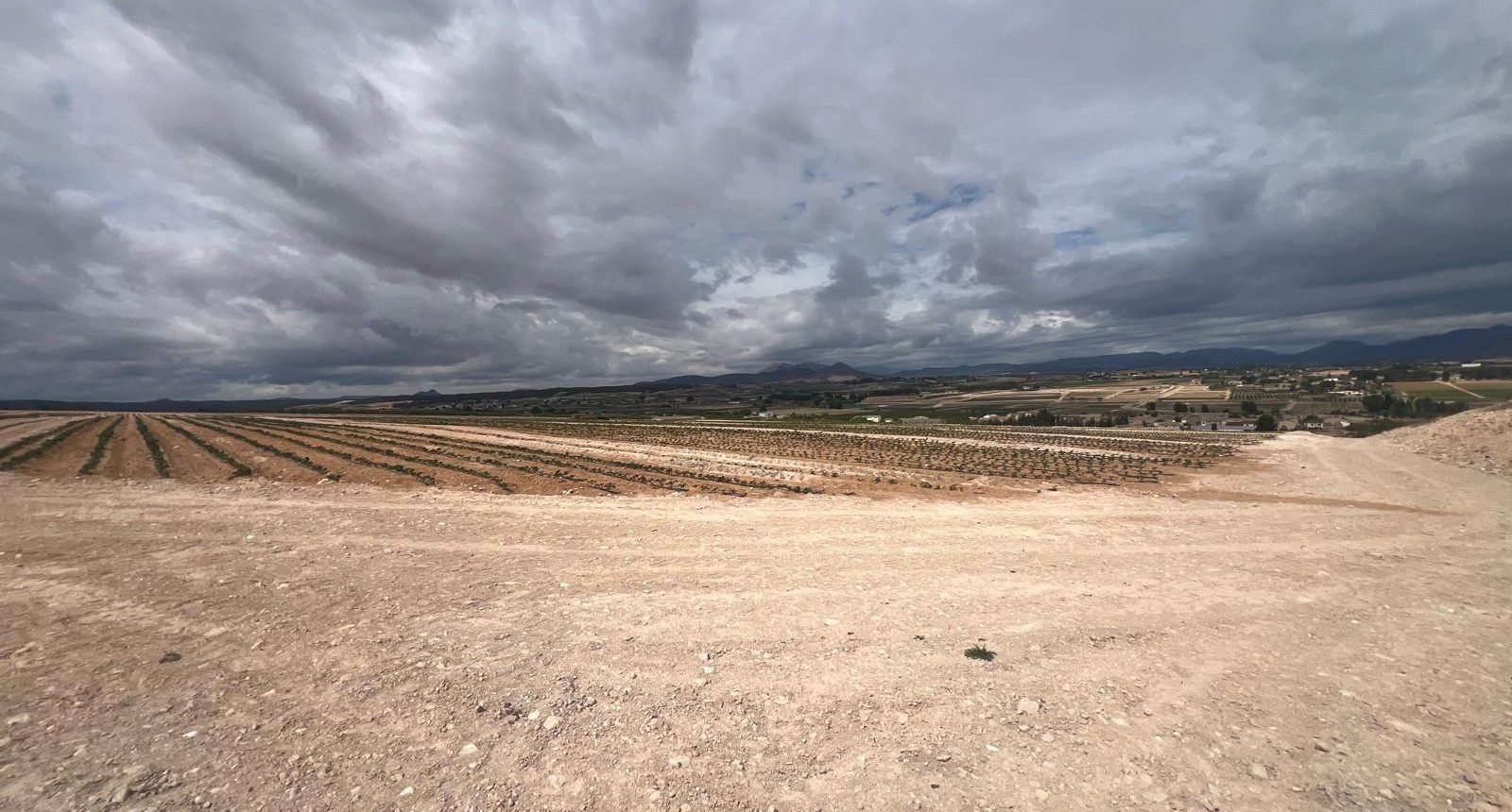 Foto finca cultivo secano
