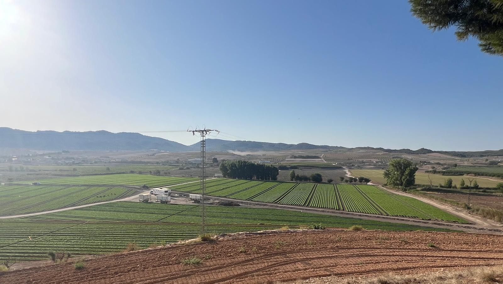 Foto panorámica completa finca