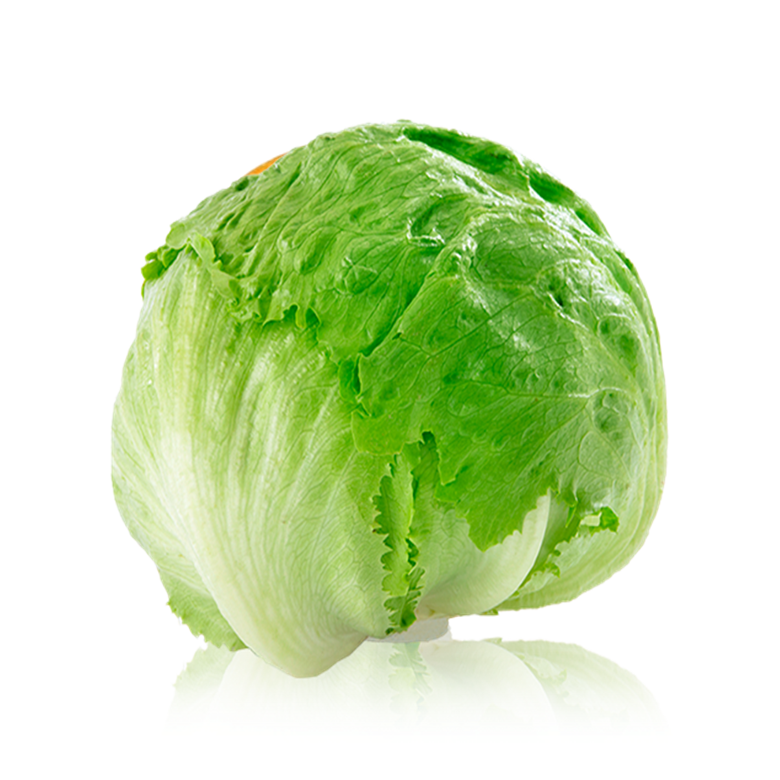 Lechuga iceberg